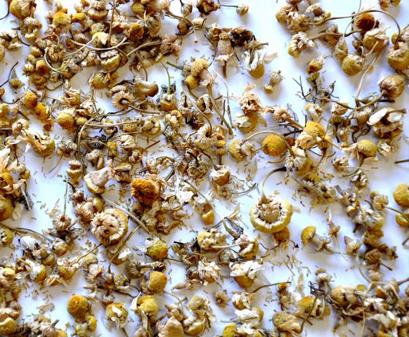 Chamomile