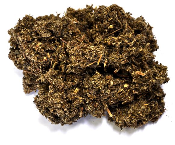Mugwort